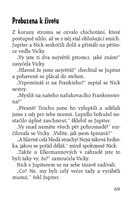 0040303489_noc-ozivlych-mumii-a101f0f158