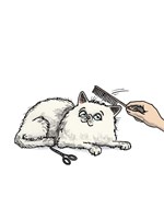 0048871780_co-si-vase-kocka-doopravdy-my