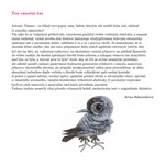 0048840242_ten-vanocni-cas-a101v0f18503-