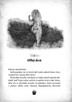 0043754508_tigrie-srdce-2-ostrov-tienovy