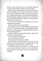 0043754508_tigrie-srdce-2-ostrov-tienovy