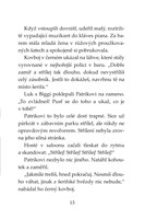 0027738628_klub-tygru-bezhlavy-jezdec-10