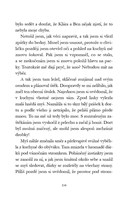 0040178356_vanocni-prekvapeni-a101f0f154