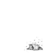 0047766296_zapisnicek-zviratka-a101f0f17