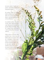 0041805029_kozmetika-hrou-b102f1f15228-l