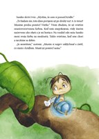 0040581499_svetluska-saska-kb-b102f1f152