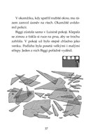 0027740989_klub-tygru-cerni-bojovnici-10