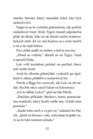 0027743298_klub-tygru-pocitacovi-pirati-