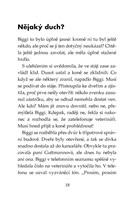 0027733213_klub-tygru-zahada-divokych-du