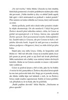 0048114709_spirit-animals-soumrak-strazc