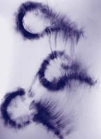 0050636413_hodina-mezi-psem-a-vlkem-a101