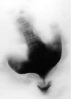 0050636414_smutenka-a101v0f19141-list-04