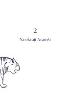 0048840219_noc-ve-znameni-tygra-a101v0f1