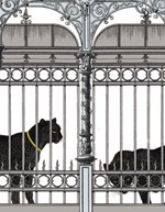 0047939950_dal-do-dzungle_a10110f17568-l