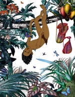 0047939950_dal-do-dzungle_a10110f17568-l