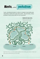 0047045878_som-aka-som-b102f1f15417-list