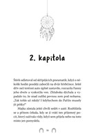 0047528956_kdv0620_Rychly-jako-vitr-2-01