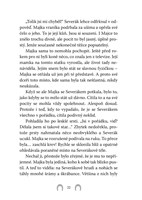 0047528956_kdv0620_Rychly-jako-vitr-2-02