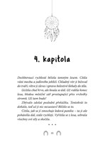 0047528956_kdv0620_Rychly-jako-vitr-2-03