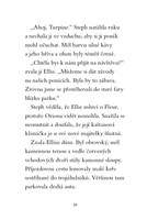 0041336613_kouzelni-ponici-trpytive-stes