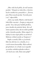 0041336613_kouzelni-ponici-trpytive-stes