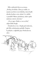 0041336613_kouzelni-ponici-trpytive-stes