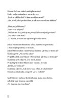 0041617888_strana 050.jpg