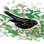 0051415944_Proc ten ptacek z vetve nespa