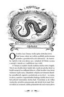 0045163928_carodol-1-magicky-naramok-b10