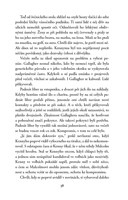 0052809420_bohove-a-bestie-a101t0f19981-