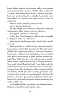 0052809065_posledni-laponec-a101t0f19978