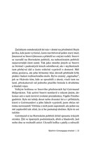 0043984537_Hledani-Cerneho-vikinga_ukazk