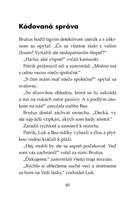 0043057803_tigri-tim-desive-pazury-b102f