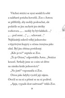 0045904924_carovní jednorožci-ukradene-m