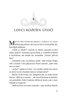 0049412252_spirit-animals-soumrak-strazc