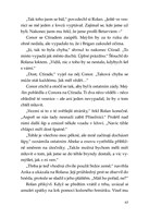 0049412252_spirit-animals-soumrak-strazc