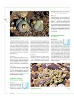 0054072664_khp0453_Encyklopedie_kaktusy-