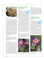 0054072664_khp0453_Encyklopedie_kaktusy-