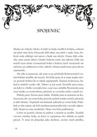 0046317038_kdv0577_Princezna_popela-050.