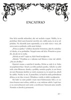 0046317038_kdv0577_Princezna_popela-263.