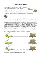 0049972989_dysgrafie-a101f0f18855-list-0