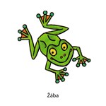 0027744348_zviratka-v-prirode-a101f0f206