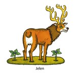 0027744348_zviratka-v-prirode-a101f0f206