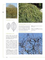 0054270963_0008488430_KH0080_listovani_1