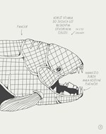 0021379926_ilustrovany-atlas-najcudesnej