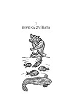 0049287610_ceske-lidove-pohadky-A101V0F1