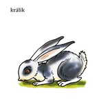 0055131368_moje-prvni-slova-zviratka-a10