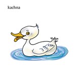 0055131368_moje-prvni-slova-zviratka-a10