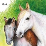 0055131365_na-dvorku-leporelo-a101f0f206