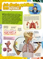 0049973138_zazraky-lidskeho-tela-a101f0f